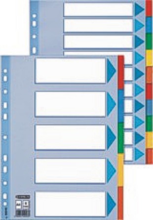 Rozlišovač ESSELTE - kartonový, barevný 12 listů