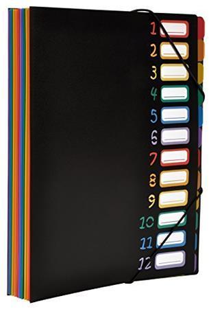Spisové desky "Rainbow Class", černá, na gumičku, PP, 12 částí, VIQUEL