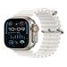 Apple Watch Ultra 2 49mm titanová s bílým oceánským řemínkem