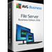 AVG File Server Edition (1-4) lic. na 1 rok
