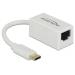 Delock Adaptér Super Speed USB (USB 3.1 Gen 1) s USB Type-C™ samec > Gigabit LAN 10/100/1000 Mbps kompaktní bílá
